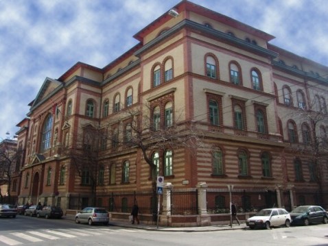 transzplantacios_klinika_napjaink