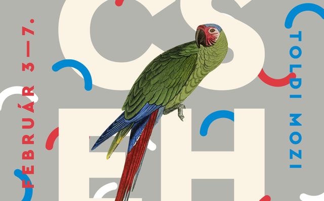 (forrás: www.issuu.com)