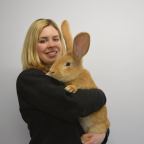 Akarsz otthonra egy óriásnyulat?