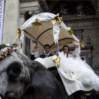 Elefánt várta esküvőjük után az artistapárt