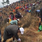 Buthán 108 000 fát ültetett az új herceg születésének tiszteletére