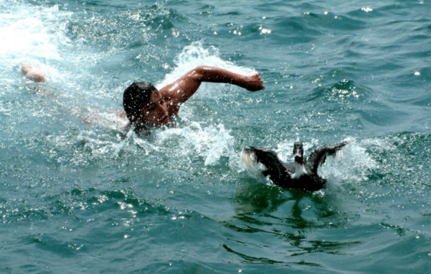 enhanced-21669-1456926462-1