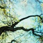 A hét végére már 20 fok is lehet