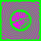 Neves fellépők, kulturális és gyerekprogramok az Óbuda napon