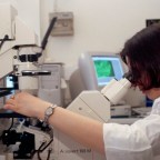 Interaktív foglalkozások és startupok a Tudományfesztiválon