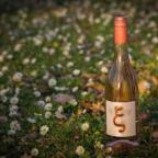 Háromnapos szabadtéri gasztroélményeket kínálnak áprilisban