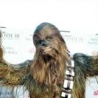 Csubakkának kereszteltek egy újonnan felfedezett bogarat