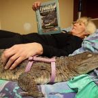 Oroszlánt, zebrát és krokodilt is tartanak háziállatként a britek