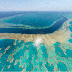 Tízmilliárd dollárra van szükség az ausztrál Nagy-korallzátony megmentéséhez