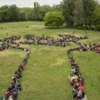 Tiltakozik a költési időben történő fakivágások ellen a madártani egyesület