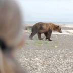 Jane Goodall a grizzlyk védettsége mellett kampányol