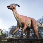 Az emlősök felemelkedése már jóval a dinoszauruszok kipusztulása előtt megkezdődött