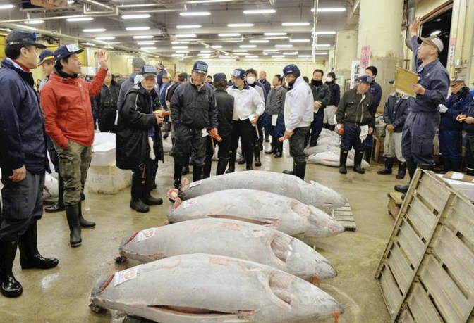 japan tuna