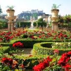 Többszázféle rózsa virágzik az Esterházy-kastély Rózsakertjében Fertődön