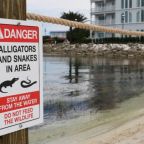 Kirúgta a Disney egy twitter kép miatt