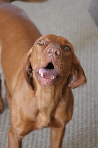 8df583adc438840e7122c6859b9a5719