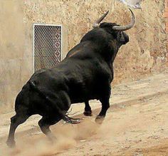 966978356aeb009bd9cd57c5f790e9a6