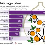 Az ideális magyar pálinka