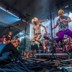 Művészetek Völgye – képes beszámoló