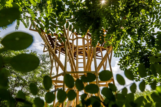 Vigántpetend, 2016. július 23. A Hello Wood építészeti workshop installációja a Vigántpetendhez tartozó Csórompusztán a 26. Mûvészetek Völgye 2016 kulturális fesztiválon 2016. július 23-án. MTI Fotó: Szigetváry Zsolt