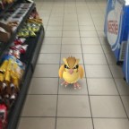 Pokémon-keresők lépték át illegálisan az amerikai-kanadai határt 