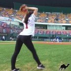 High Five – öt legjobb sport GIF