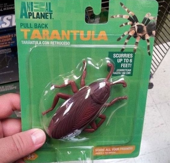 Biológia csúcsra járatva