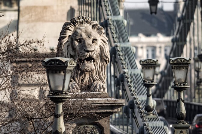 Budapest, 2017. január 11. A Széchenyi Lánchíd budai, bal oldali kõoroszlánja 2017. január 10-én. A szobrot Marschalkó János lõcsei szobrászmûvész készítette. MTI Fotó: Szigetváry Zsolt