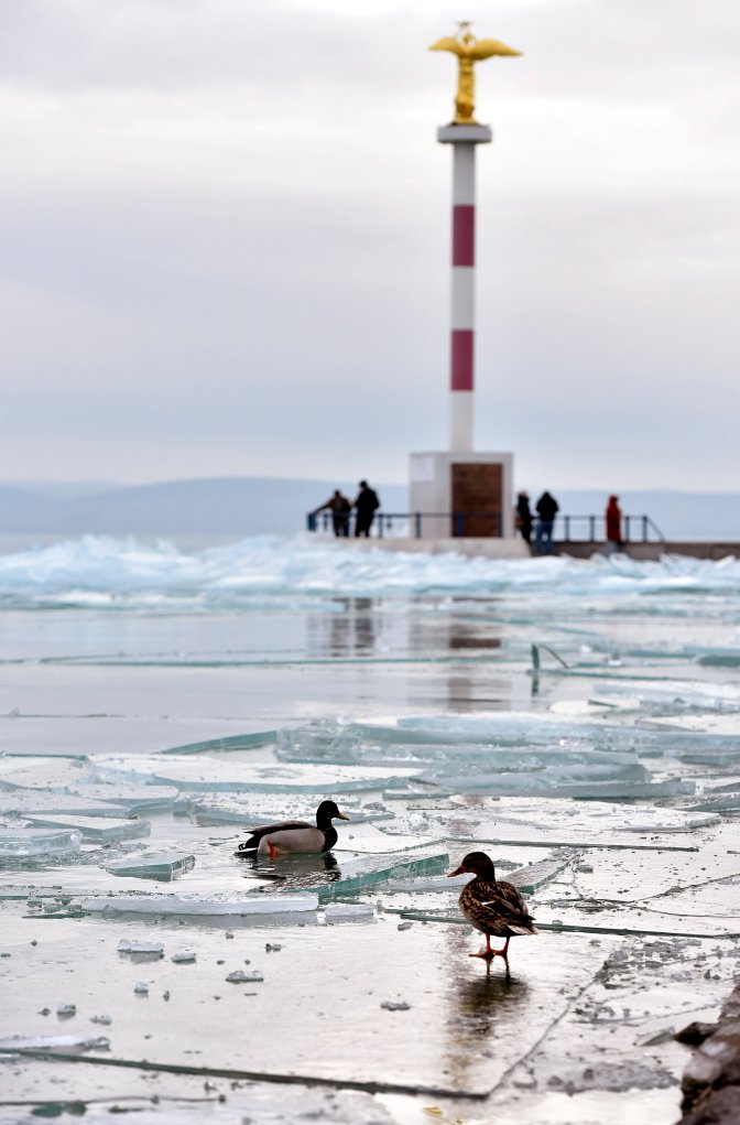 Siófok, 2017. január 4. Madarak jégtáblákon a siófoki móló közelében 2017. január 4-én. MTI Fotó: Máthé Zoltán