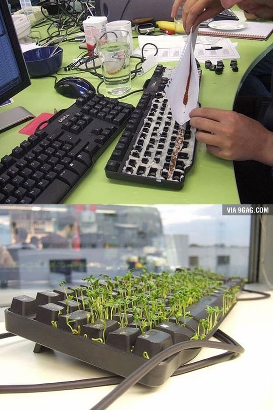 Ültess kiskertet a billentyűzetébe