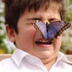 Irány a természet!