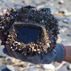 Két év után működőképesen vetődött partra egy fényképezőgép Tajvanon