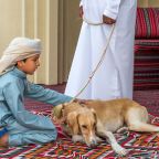 Betiltják a kutyasétáltatást Iránban