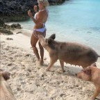 Minden férfi disznó…?