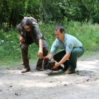 Elindult Afrikából Zoltán, a GPS-jeladós gemenci fekete gólya
