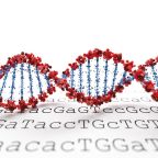 Népességvándorlás alakította át az Ibériai-félsziget ősi lakóinak genetikai összetételét