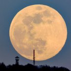 Tájképek: holdkelte