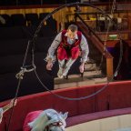 A Fővárosi Nagycirkusz Dinasztiák című műsorának bemutatója